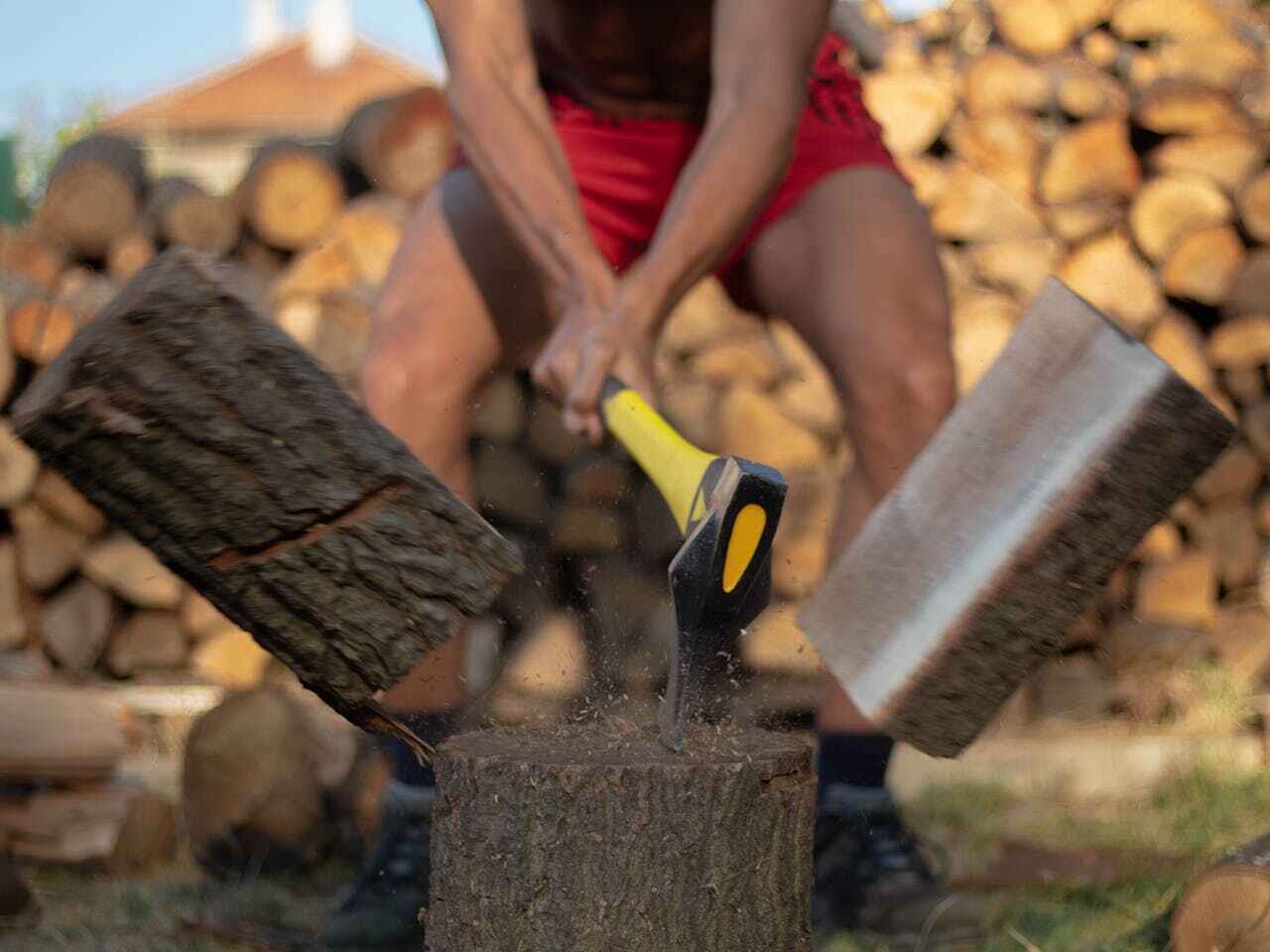 Tree Branch Trimming in Maurice, LA